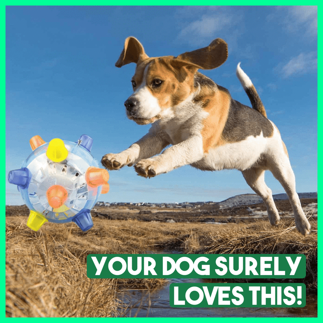 Jumping Activation Ball for Dogs – Motion-Activated, Interactive & Bouncing Puppy Toy