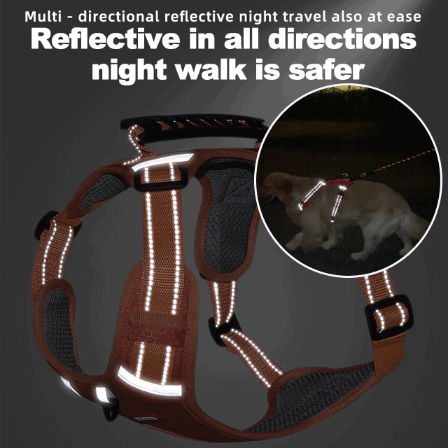 Freedom No Pull Dog Harness – Adjustable Small Dog Harness with Sporn Design