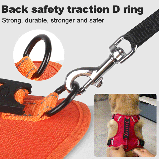 Freedom No Pull Dog Harness – Adjustable Small Dog Harness with Sporn Design