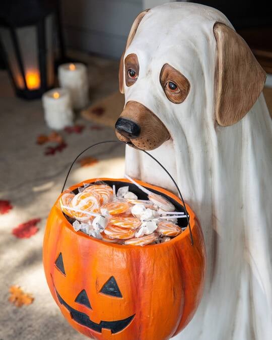 Ghost Dog Candy Bowl – Cute Halloween Candy Holder for Treats & Décor
