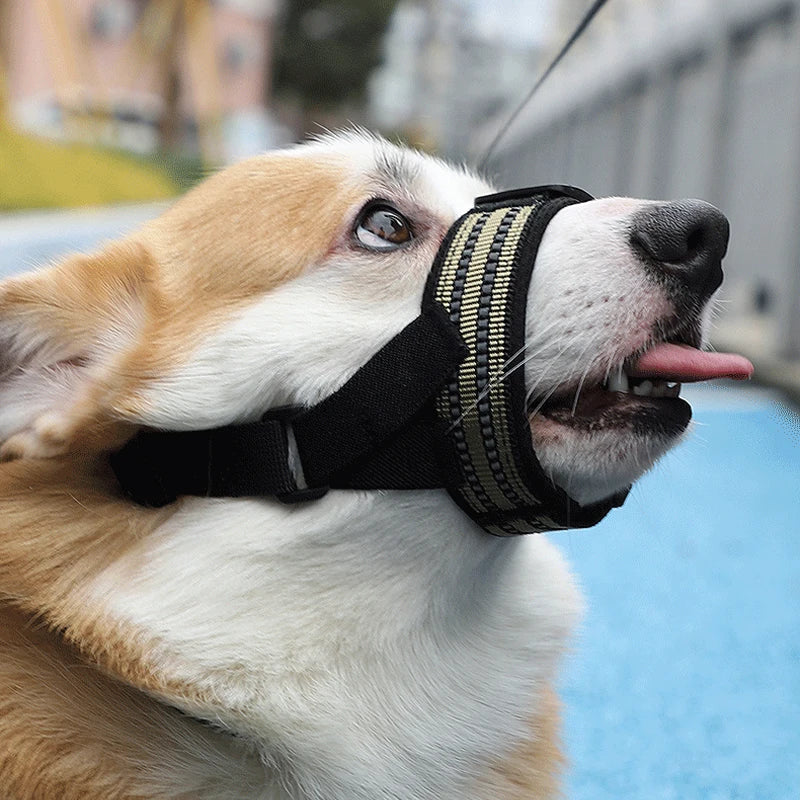 Best Reflective Dog Muzzle – Adjustable Quick Release Pet Mouth Cover for Outdoor Walking