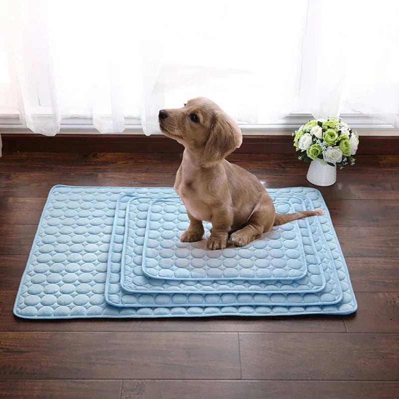 Foldable Cooling Mat for Dogs & Cats – Summer Crate Pad for Indoor or Travel Use
