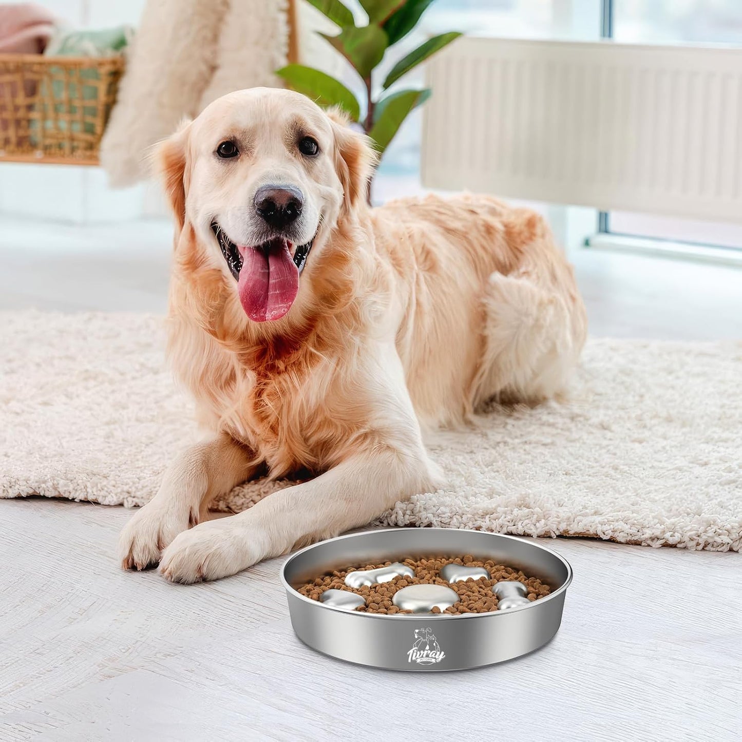 Dog eating from stainless steel slow feeder dog bowl