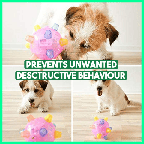 Jumping Activation Ball for Dogs – Motion-Activated, Interactive & Bouncing Puppy Toy
