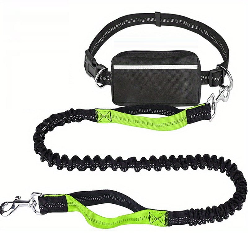 hands free green dog leashs with pouch