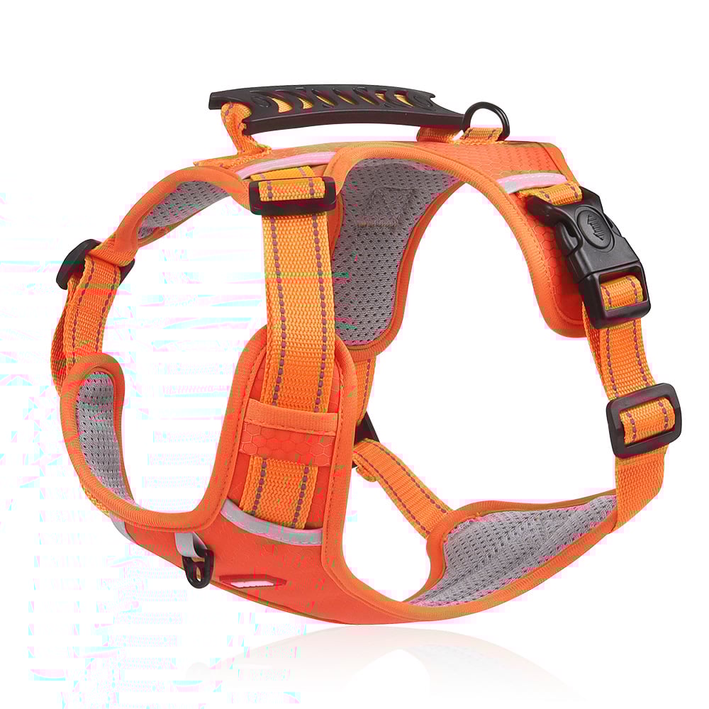 Freedom No Pull Dog Harness – Adjustable Small Dog Harness with Sporn Design