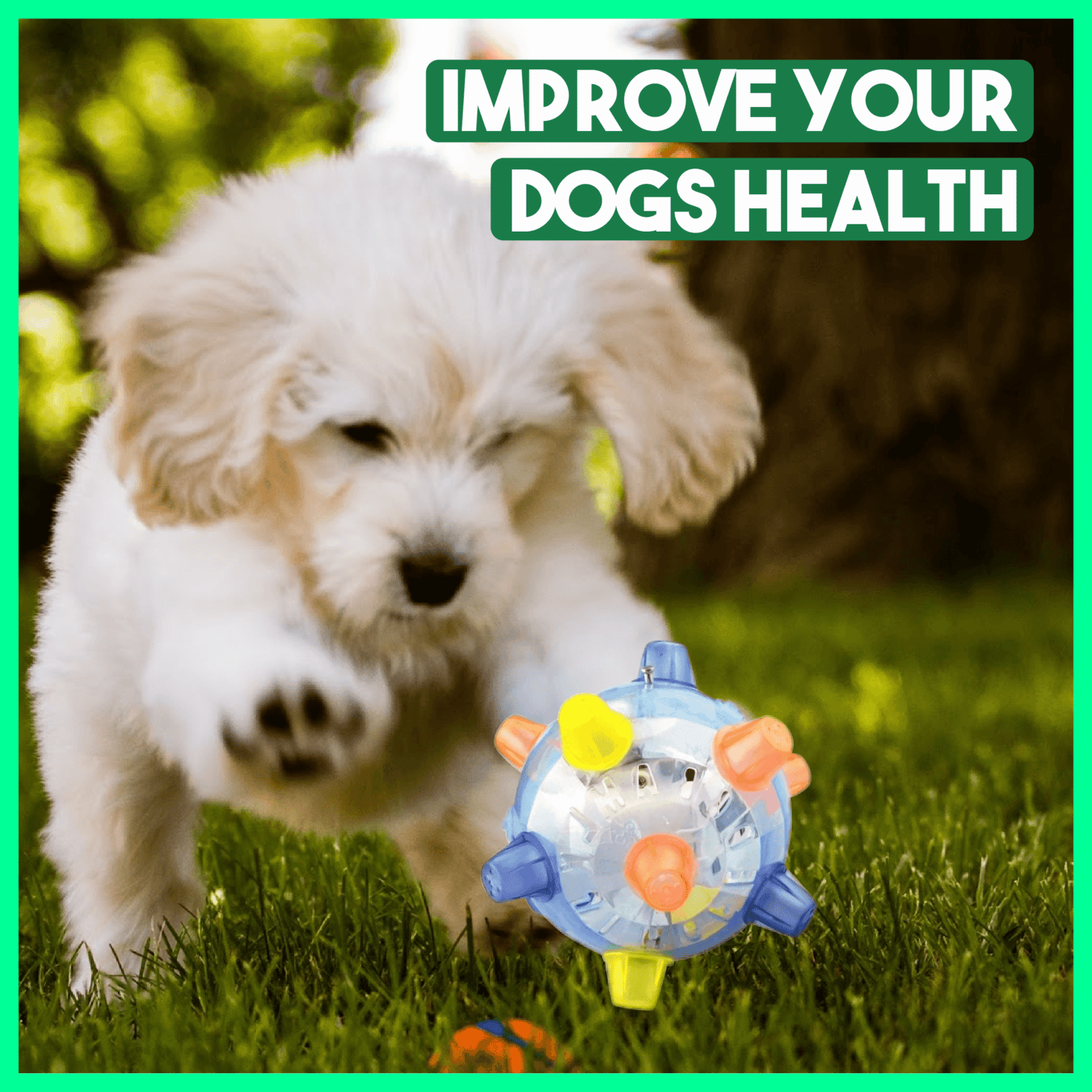 Jumping Activation Ball for Dogs – Motion-Activated, Interactive & Bouncing Puppy Toy