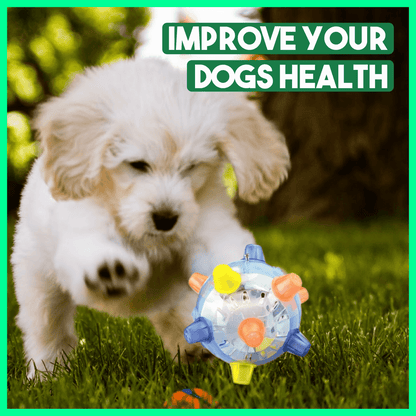 Jumping Activation Ball for Dogs – Motion-Activated, Interactive & Bouncing Puppy Toy