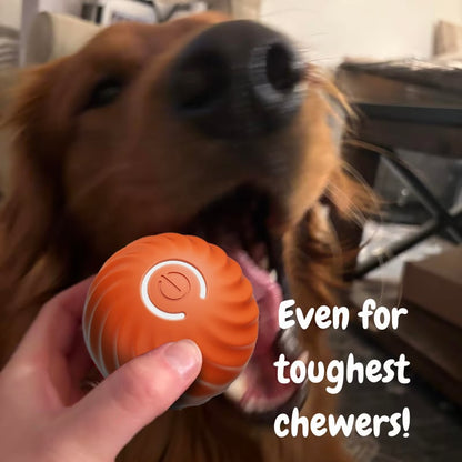 Automatic Bouncing Ball for Dogs – Interactive Motion Toy for Puppies