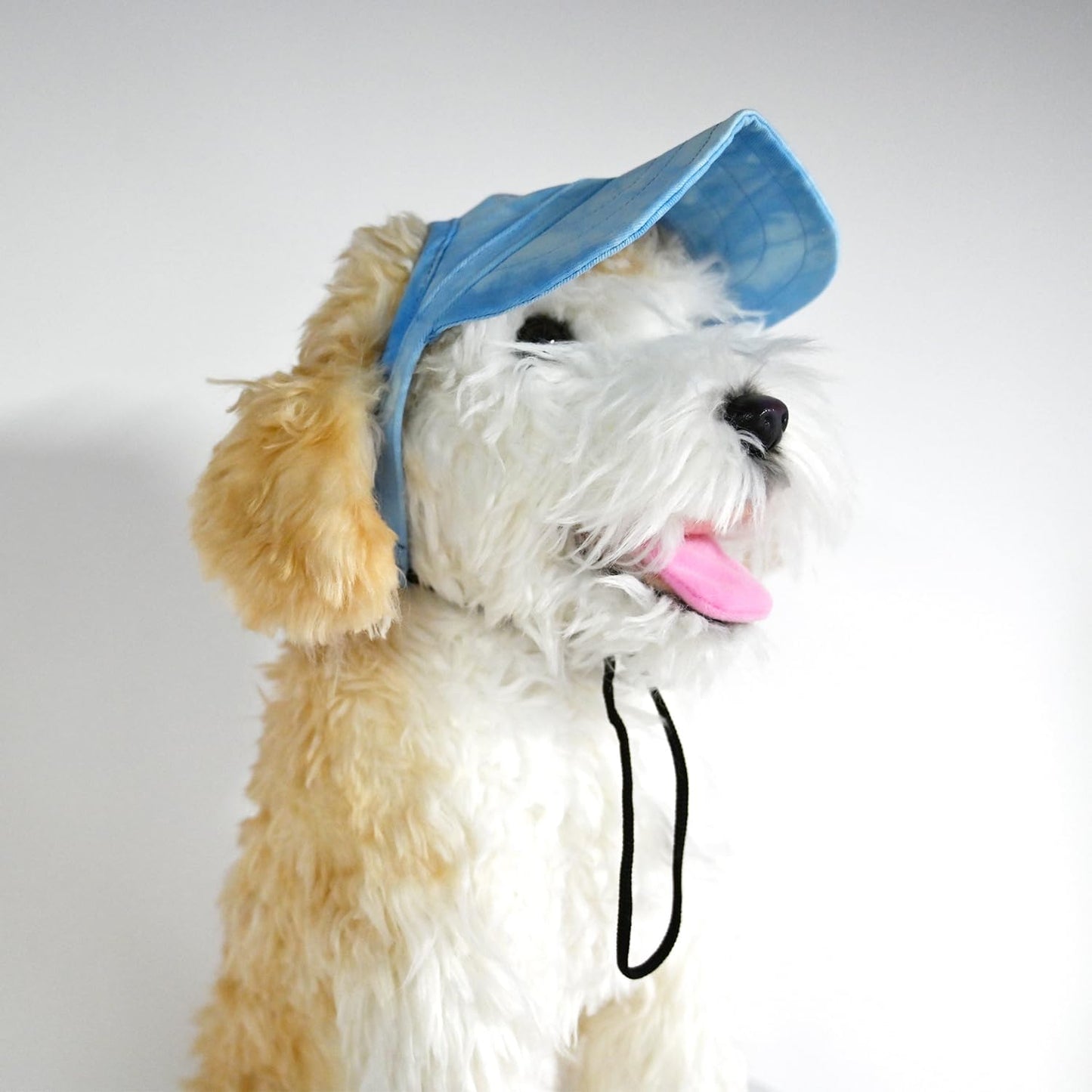 Outdoor Dog Sun Hat – UV Protection Hood for Small & Medium Dogs