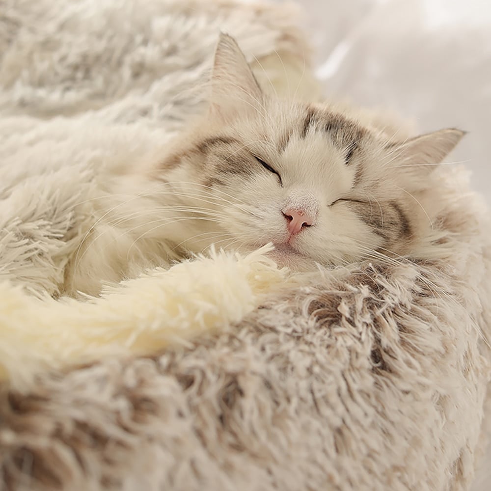 Plush Cat Bed for Indoor Cats – Soft, Cozy, and Machine Washable
