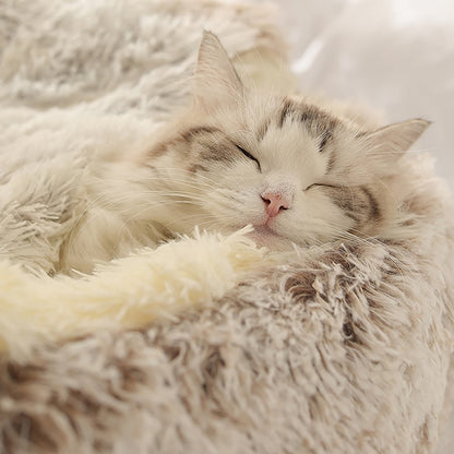 Plush Cat Bed for Indoor Cats – Soft, Cozy, and Machine Washable
