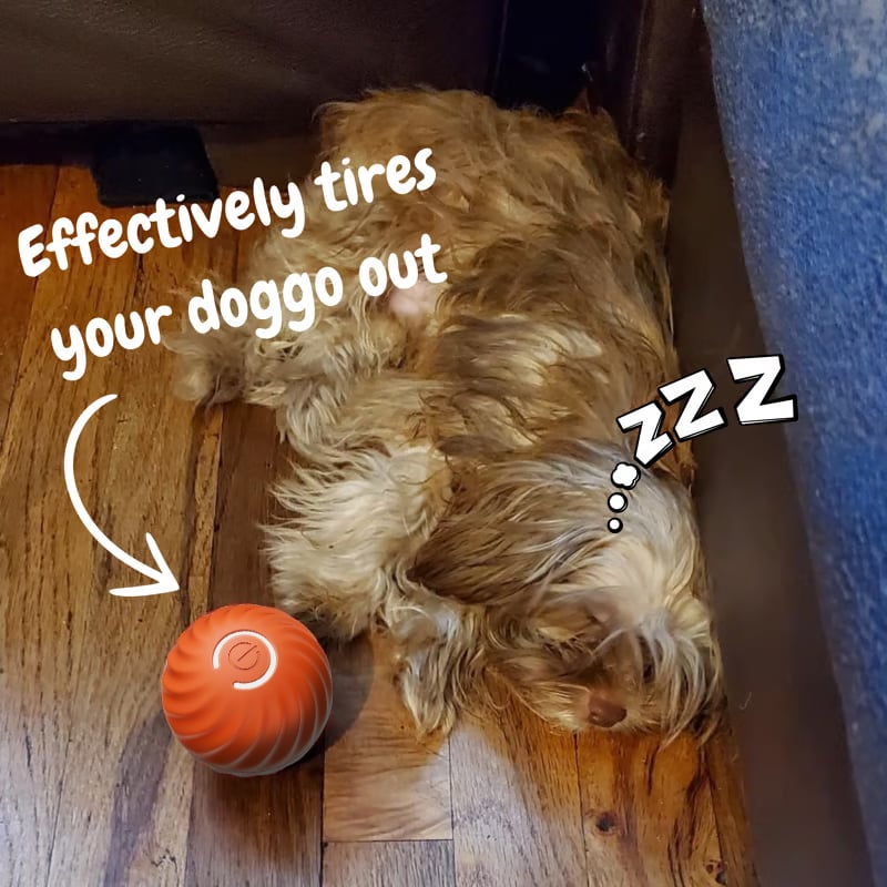 Automatic Bouncing Ball for Dogs – Interactive Motion Toy for Puppies