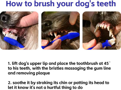 Step-by-step illustration showing how to brush a dog’s teeth at a 45° angle while soothing them.