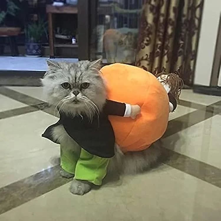 Pumpkin Halloween Costume for Dogs & Cats – Cute Pet Outfit for Trick or Treat Party