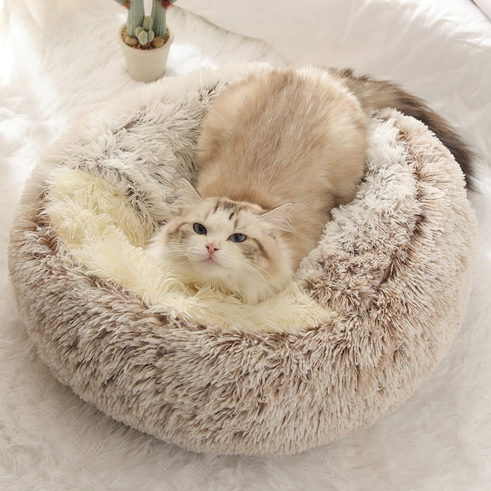 Plush Cat Bed for Indoor Cats – Soft, Cozy, and Machine Washable