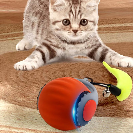 smart cat toy that moves on its own indoor us