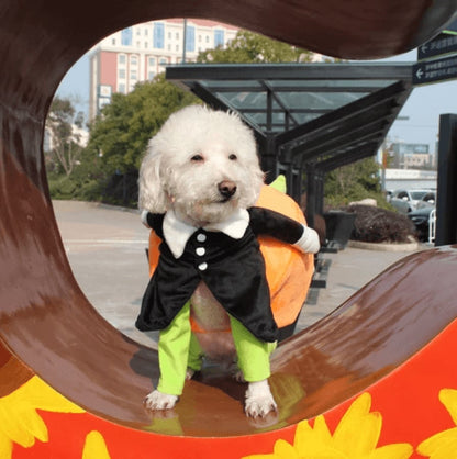 Pumpkin Halloween Costume for Dogs & Cats – Cute Pet Outfit for Trick or Treat Party