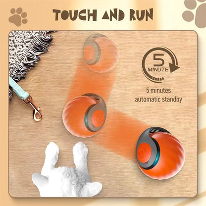 Interactive Cat Ball Toy – Rolling Light-Up Ball for Indoor Cats & Kittens