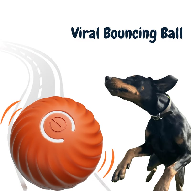 automatic bouncing ball toy for dogs