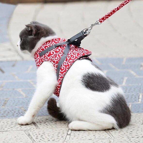 breathable vest harness for cats and small dogs
