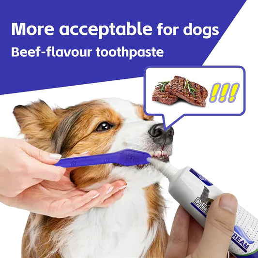 Brushing dog teeth with toothbrush and finger brush