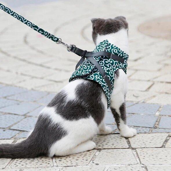 anti breakaway cat and dog harness with leash