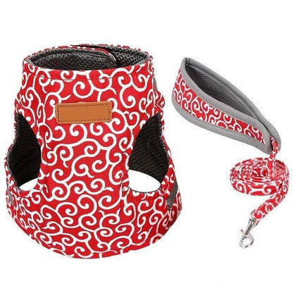 Anti Breakaway Pet Harness & Leash – Escape Proof Soft Vest for Cats and Small Dogs