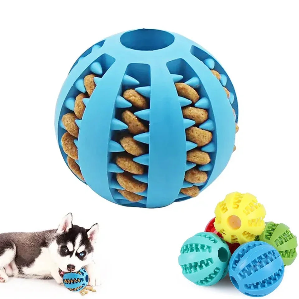 Dog playing with treat dispensing ball on the floor