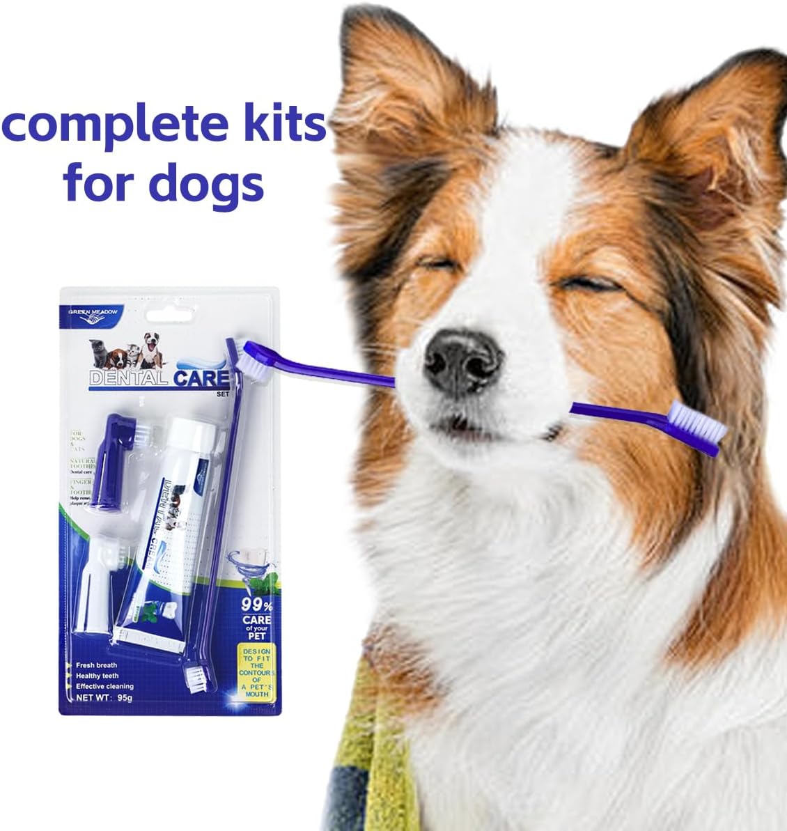 Dog tooth brushing kit with finger brush and beef-flavored toothpaste
