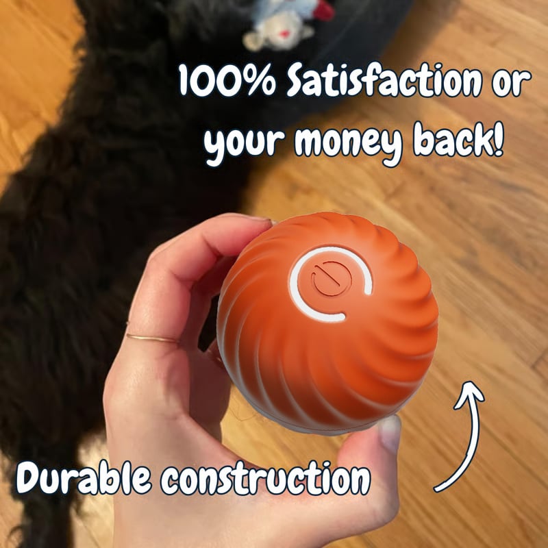 vibrating light-up dog toy for small dogs