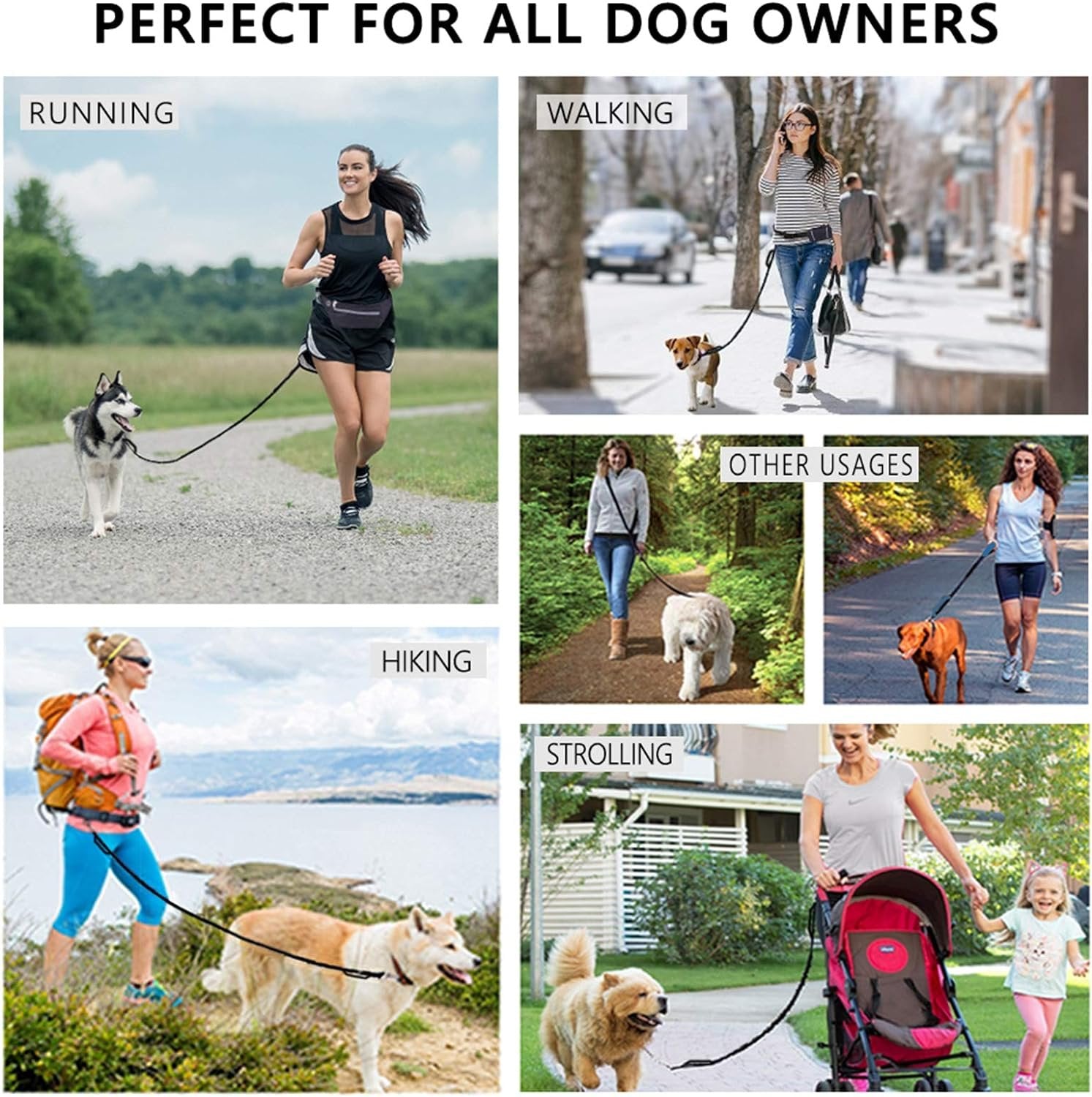 Multi-functional dog leash perfect for running, walking, hiking, and strolling with your pet. Ideal for active dog owners.