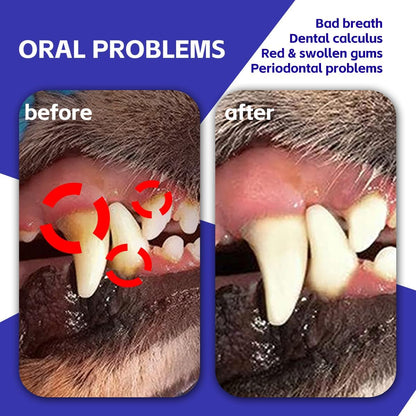 Before and after using dog toothbrush set for plaque and gum problems