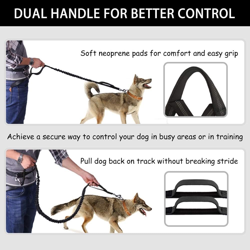 Dual-handle dog leash with soft neoprene pads for secure control during training or busy walks.