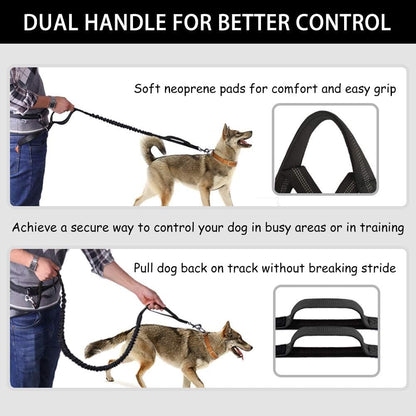 Dual-handle dog leash with soft neoprene pads for secure control during training or busy walks.