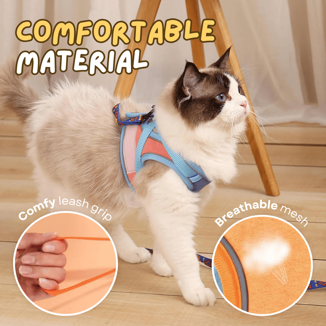 Escape Proof Cat Harness and Leash Set – Adjustable & Breathable Vest for Walking