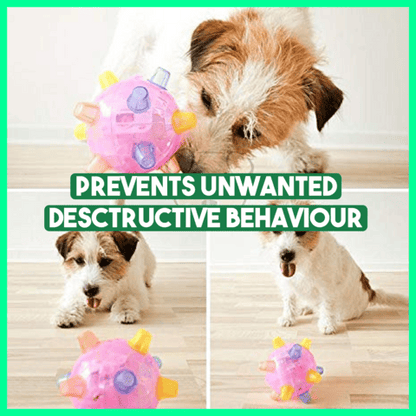 Jumping Activation Ball for Dogs – Motion-Activated, Interactive & Bouncing Puppy Toy
