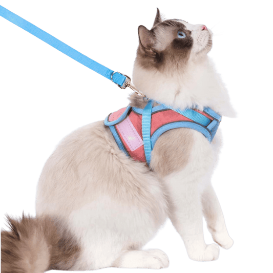 escape proof cat harness with leash for outdoor walking