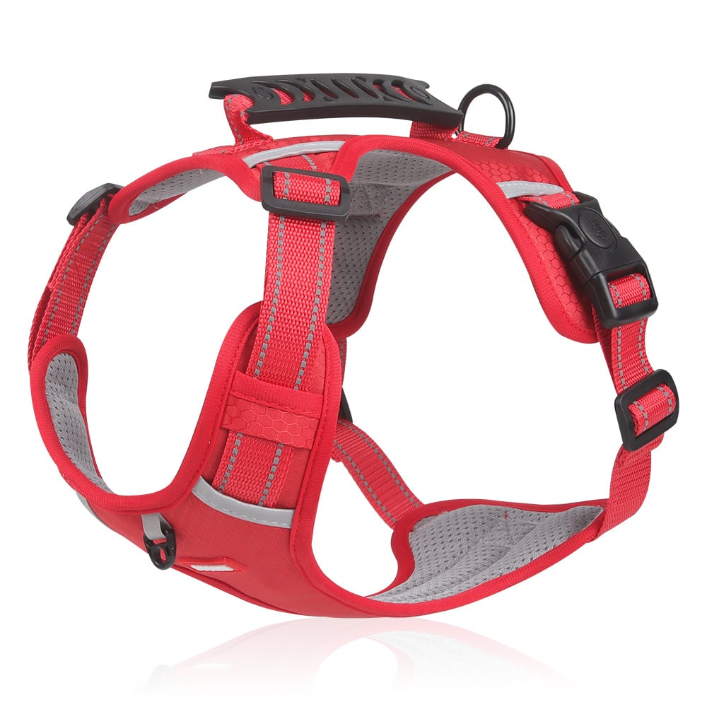Freedom No Pull Dog Harness – Adjustable Small Dog Harness with Sporn Design