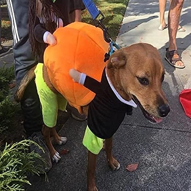 Pumpkin Halloween Costume for Dogs & Cats – Cute Pet Outfit for Trick or Treat Party