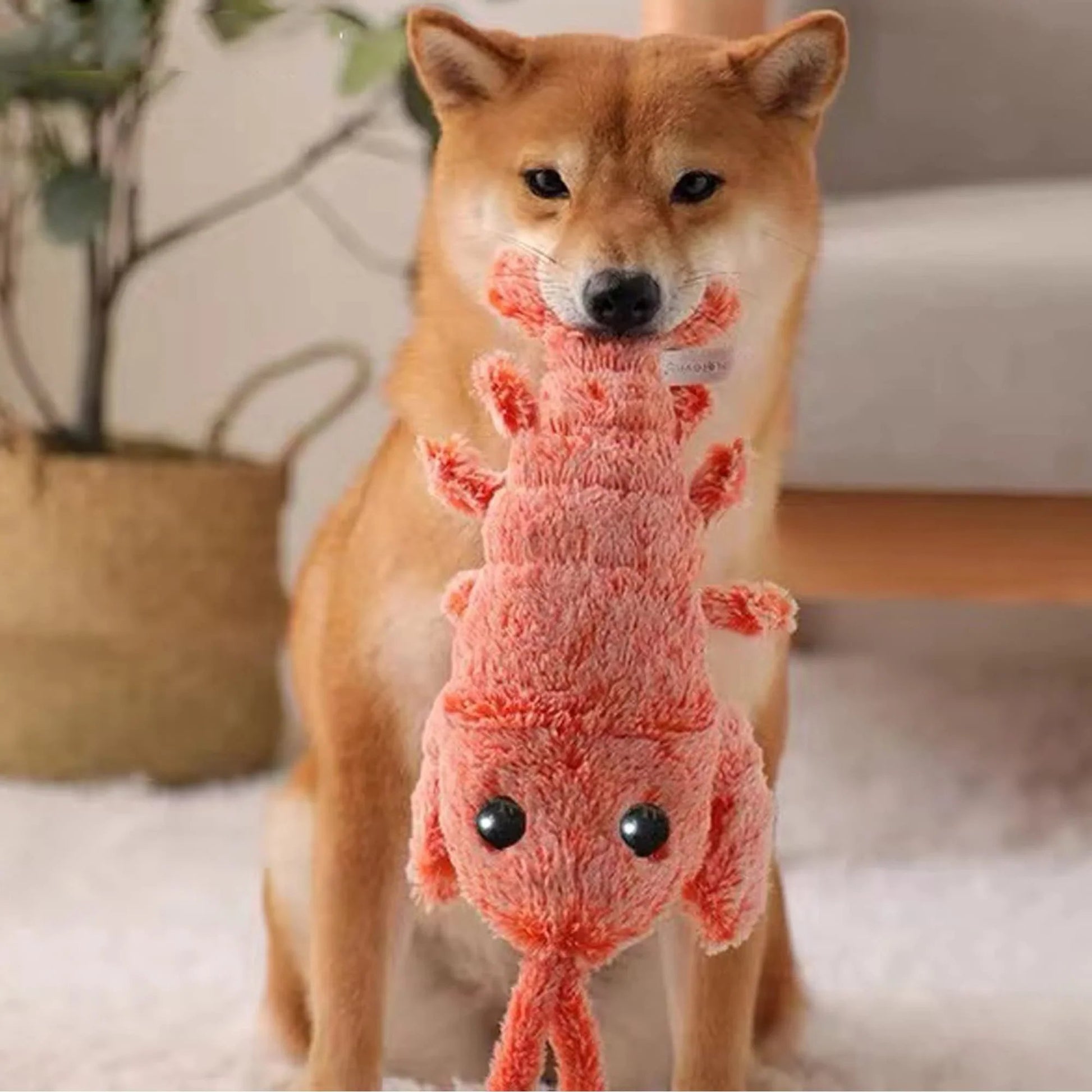 floppy lobster dog toy interactive