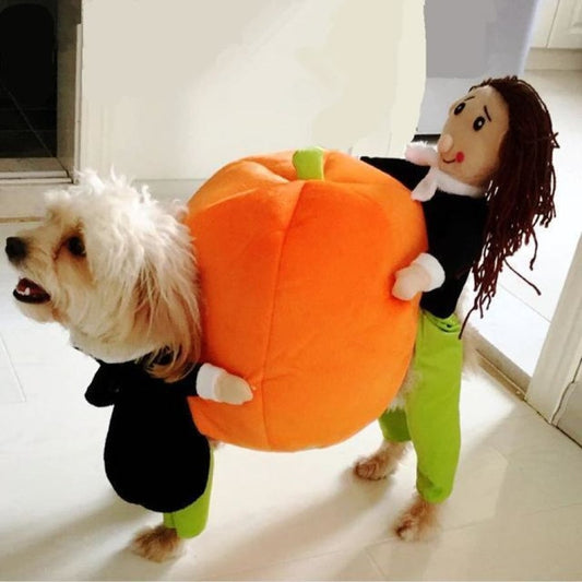 funny halloween costume for pets
