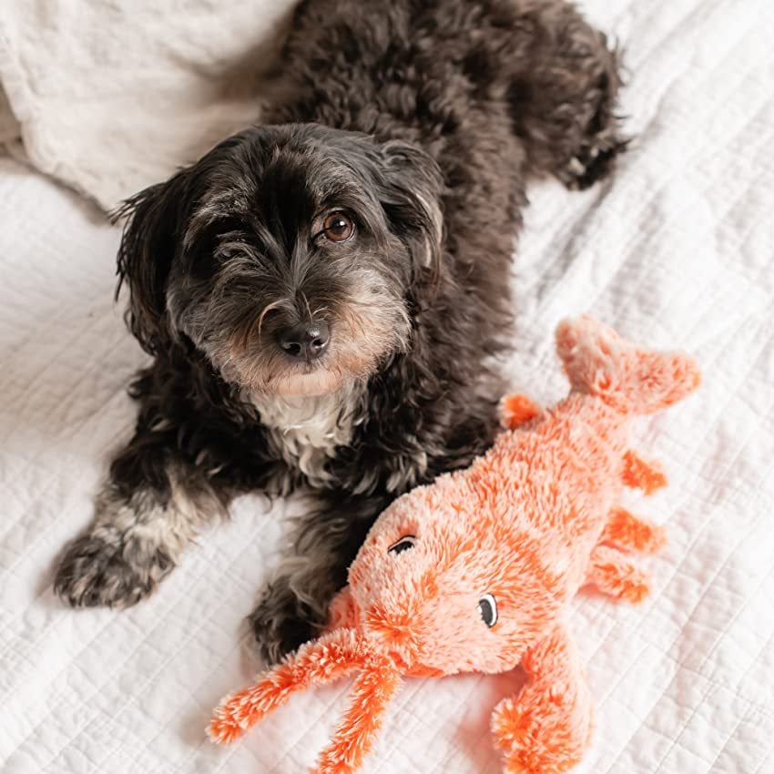 funny electric dog toy lobster