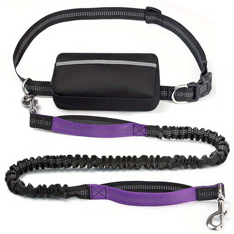hands free purple dog leash with pouch