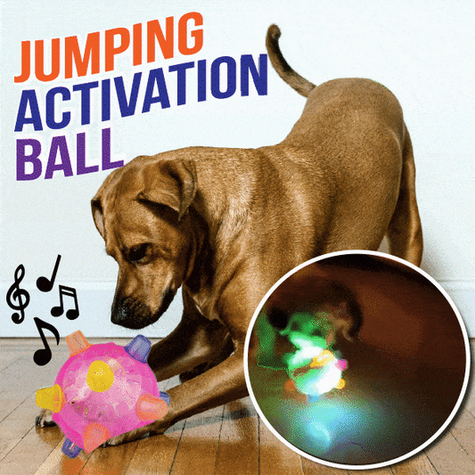 jumping activation ball for dogs