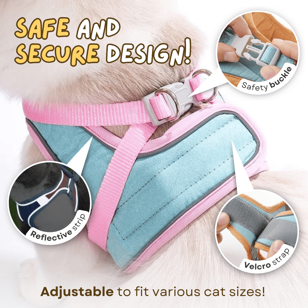 adjustable kitten harness and leash set for training