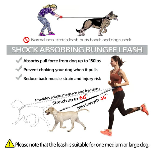Shock-absorbing bungee dog leash reduces pulling force (up to 150lbs), prevents choking, and stretches to 66 inches.