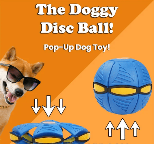 sound activated dog toy ball with lights