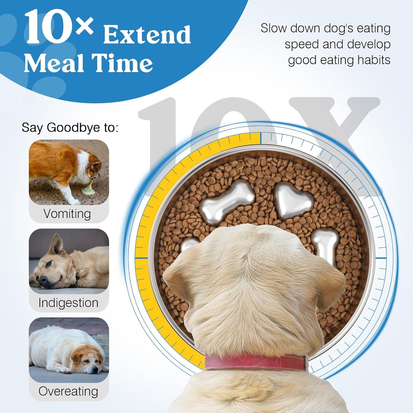 Stainless steel dog bowl showing slow feeding benefits