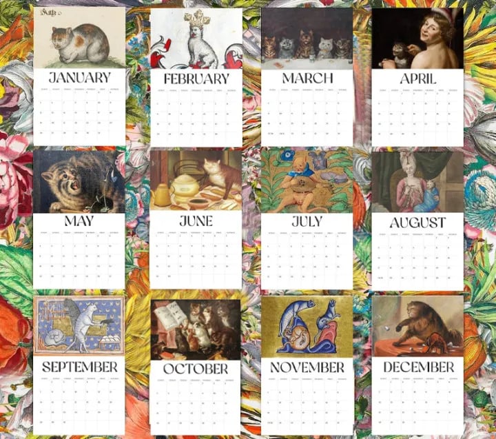 weird cat gift calendar for home or office